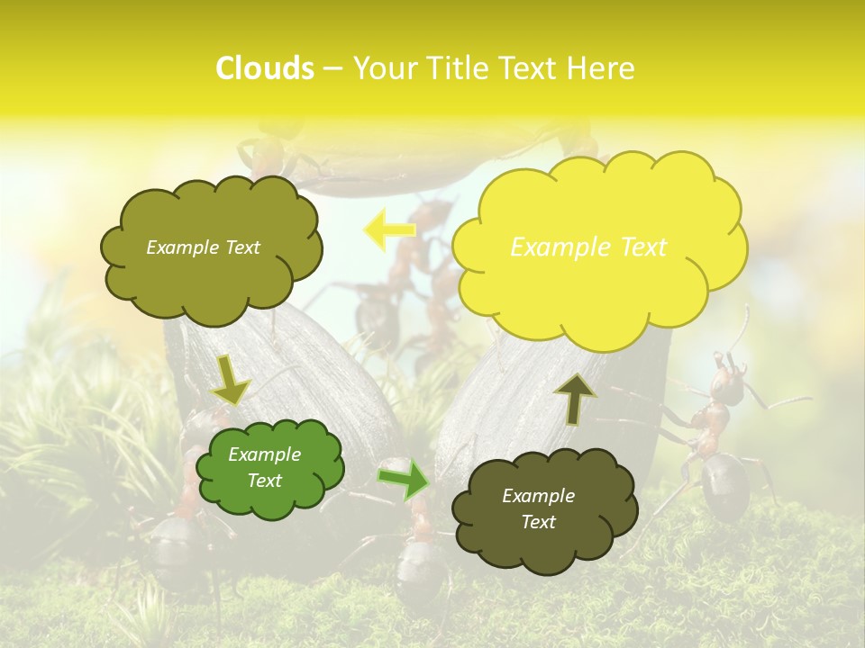 Crop Meadow Insects PowerPoint Template