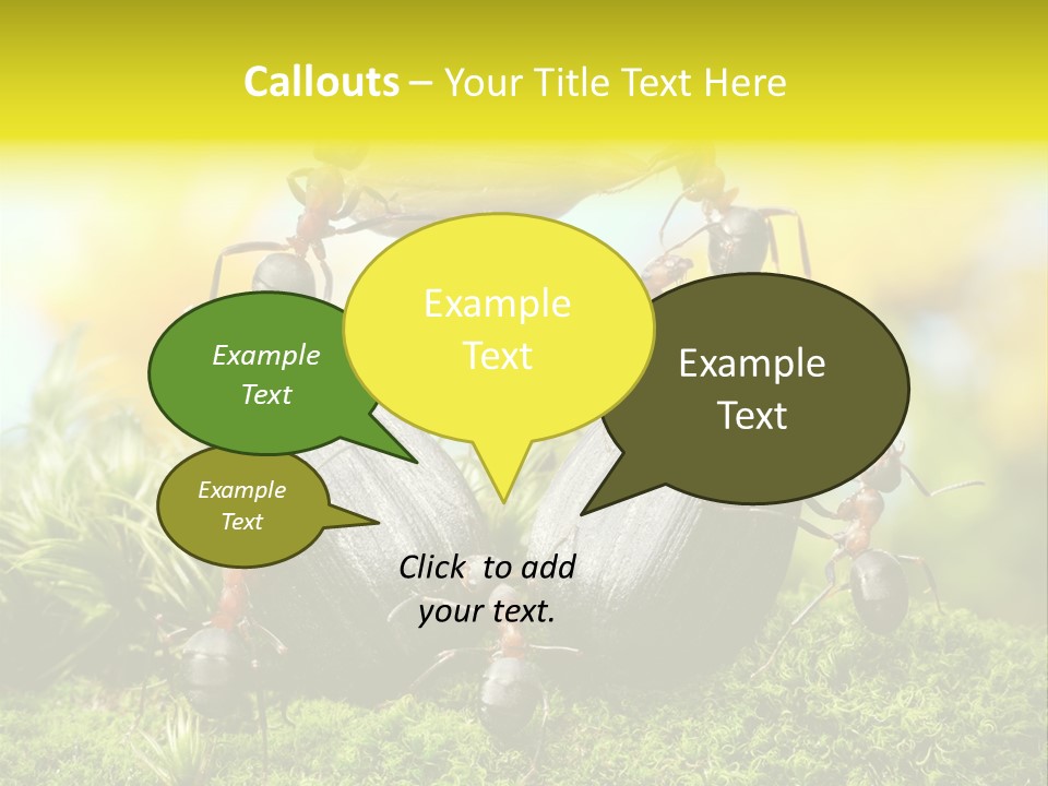 Crop Meadow Insects PowerPoint Template