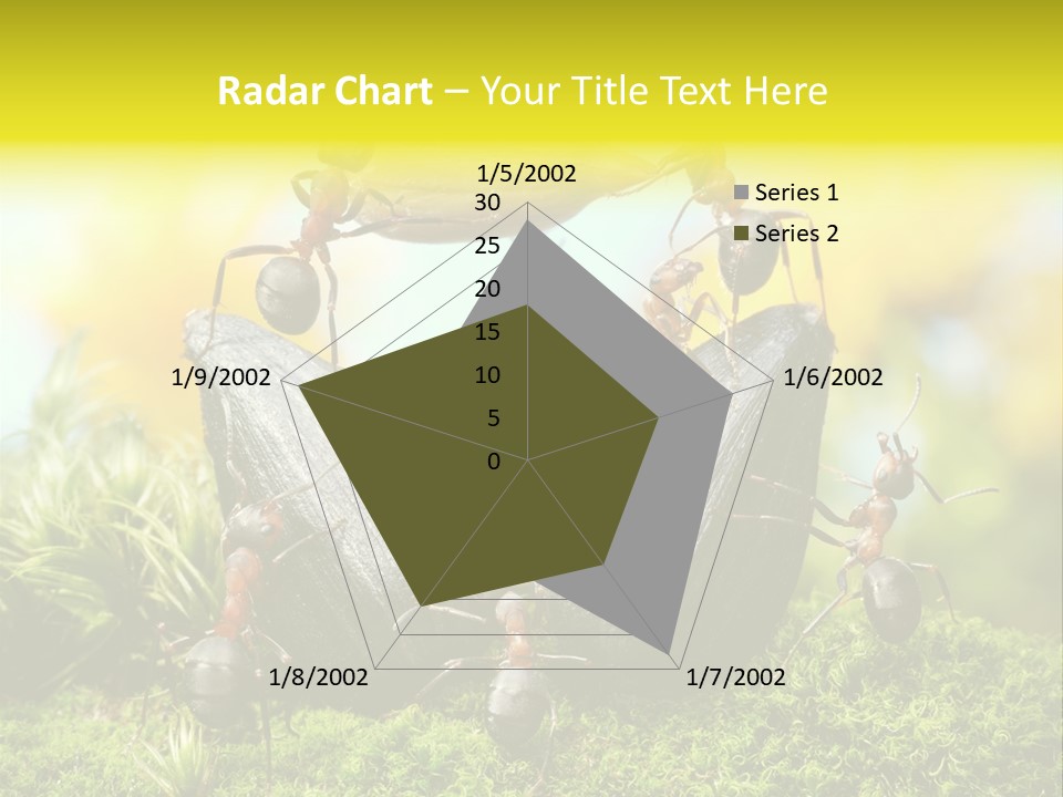 Crop Meadow Insects PowerPoint Template