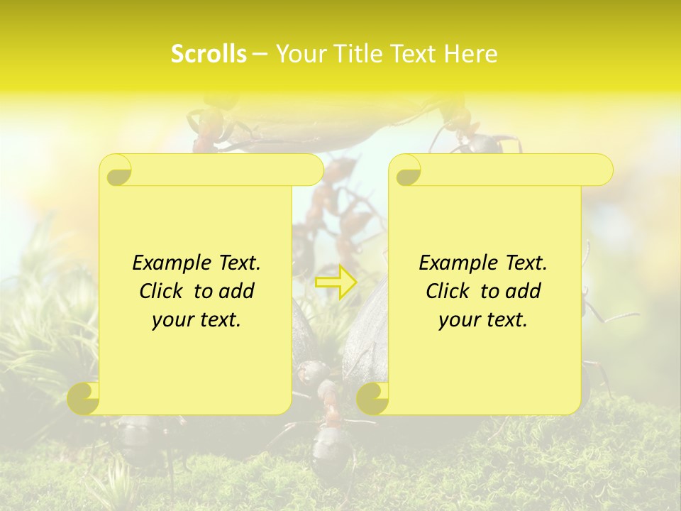 Crop Meadow Insects PowerPoint Template