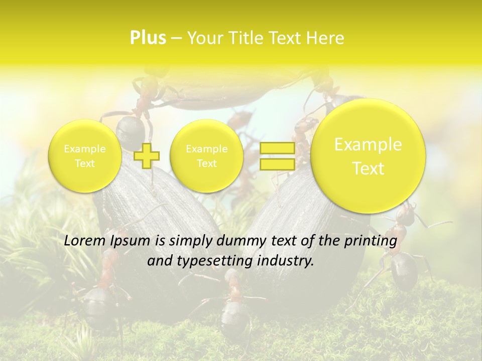 Crop Meadow Insects PowerPoint Template