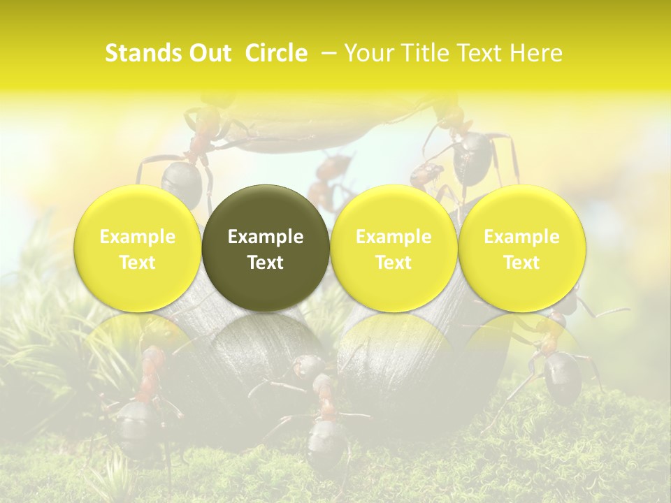 Crop Meadow Insects PowerPoint Template