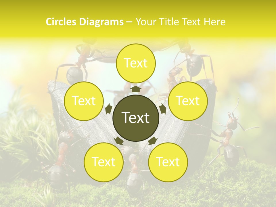 Crop Meadow Insects PowerPoint Template