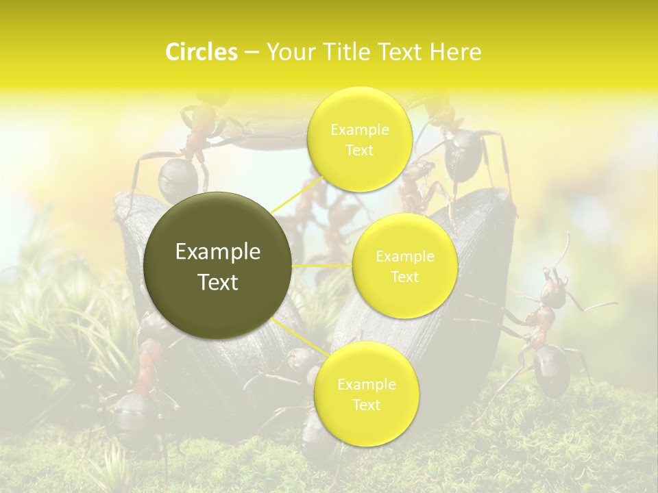 Crop Meadow Insects PowerPoint Template