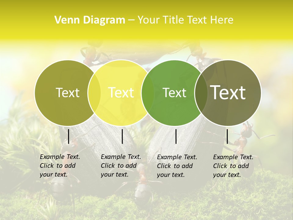 Crop Meadow Insects PowerPoint Template