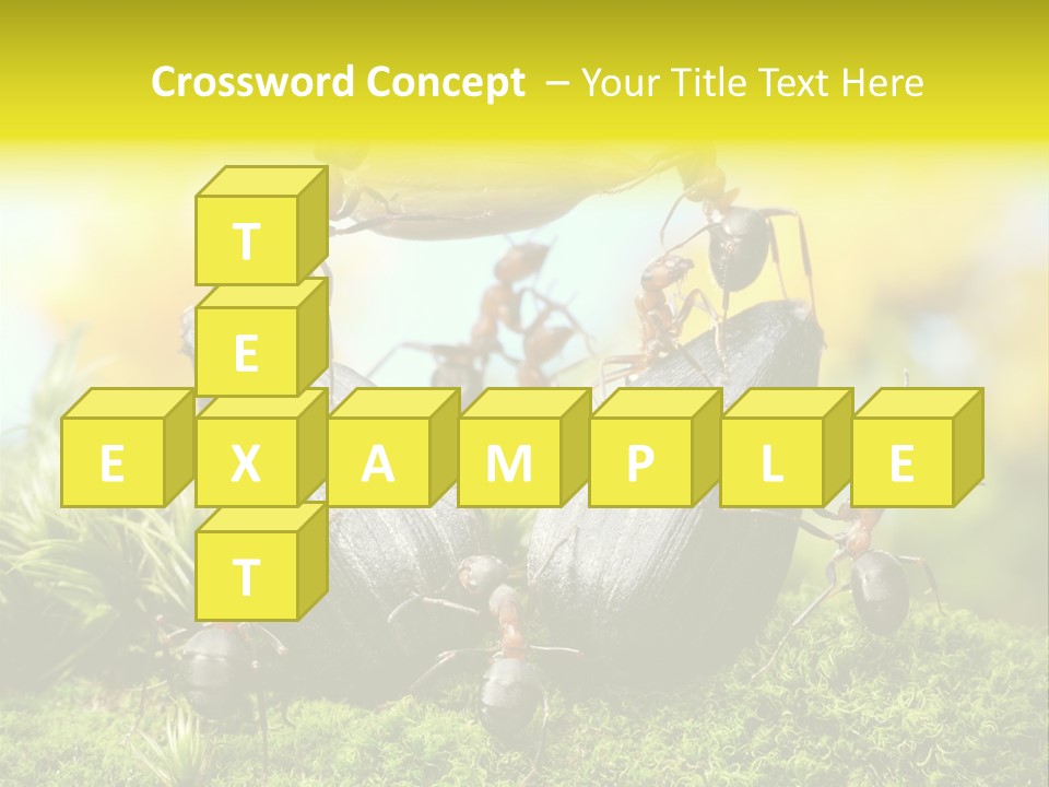 Crop Meadow Insects PowerPoint Template