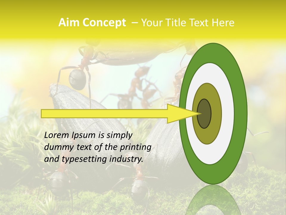 Crop Meadow Insects PowerPoint Template