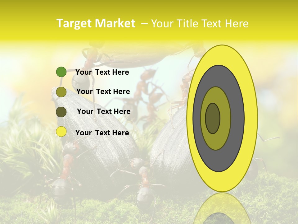 Crop Meadow Insects PowerPoint Template