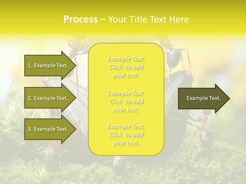 Crop Meadow Insects PowerPoint Template