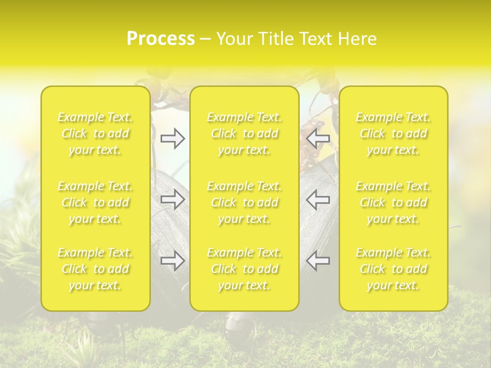 Crop Meadow Insects PowerPoint Template