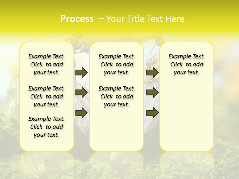 Crop Meadow Insects PowerPoint Template