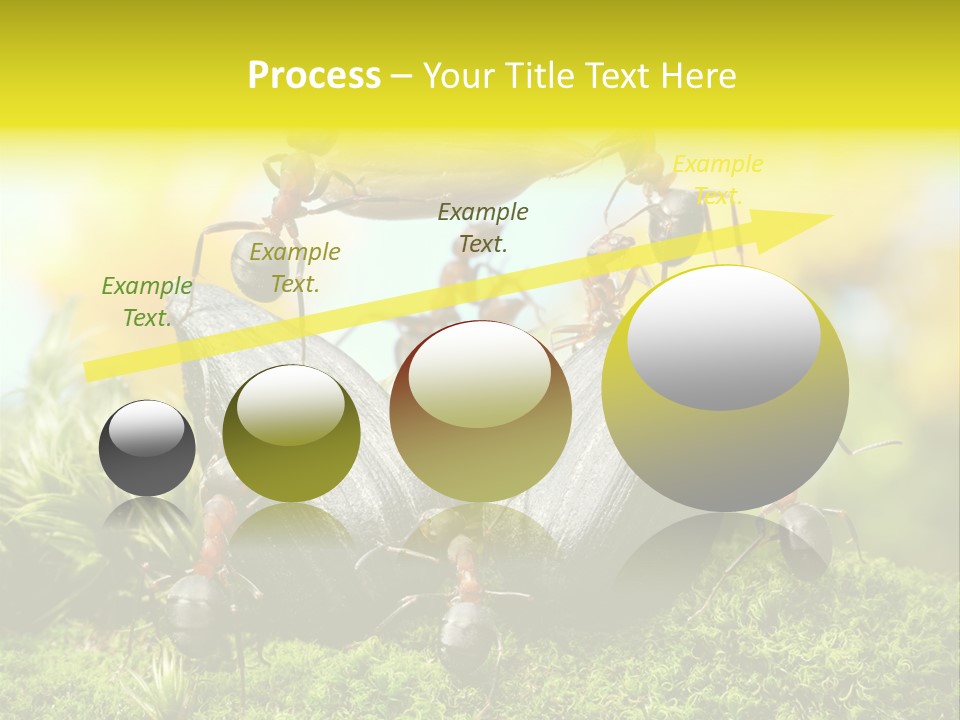 Crop Meadow Insects PowerPoint Template