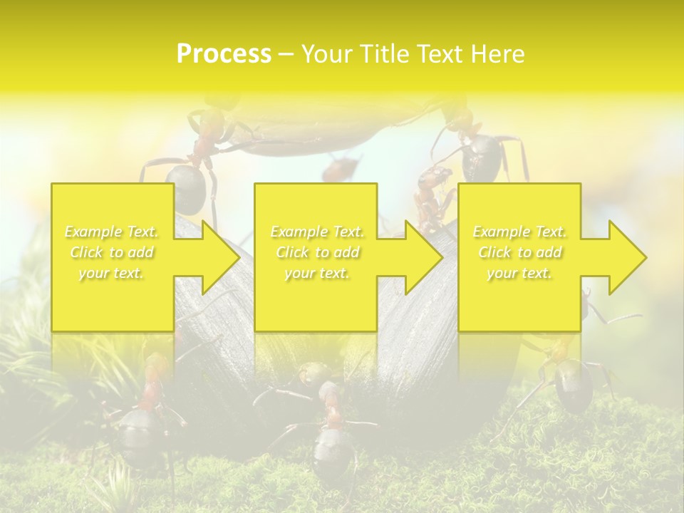 Crop Meadow Insects PowerPoint Template