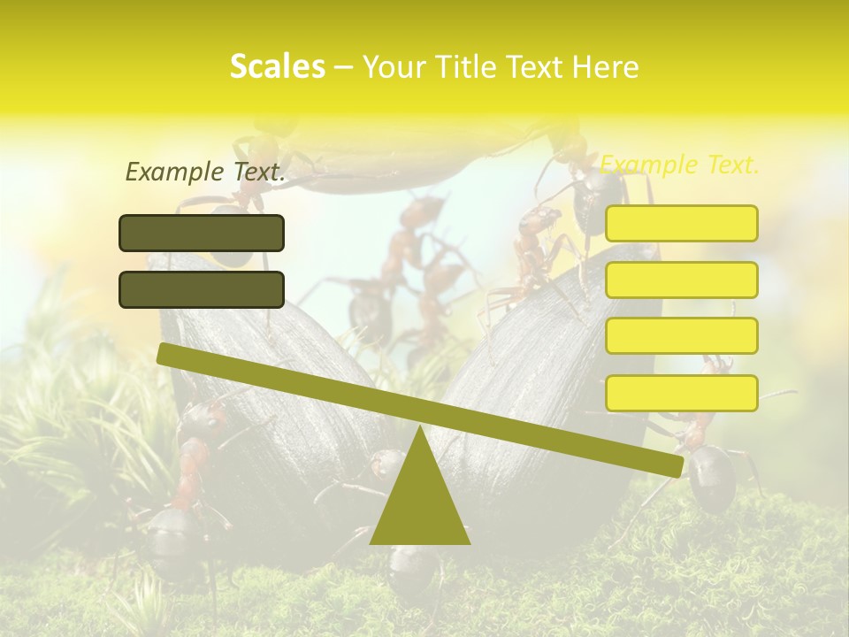 Crop Meadow Insects PowerPoint Template