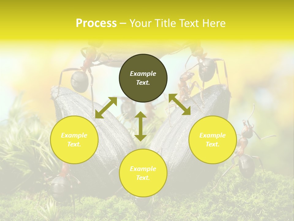 Crop Meadow Insects PowerPoint Template