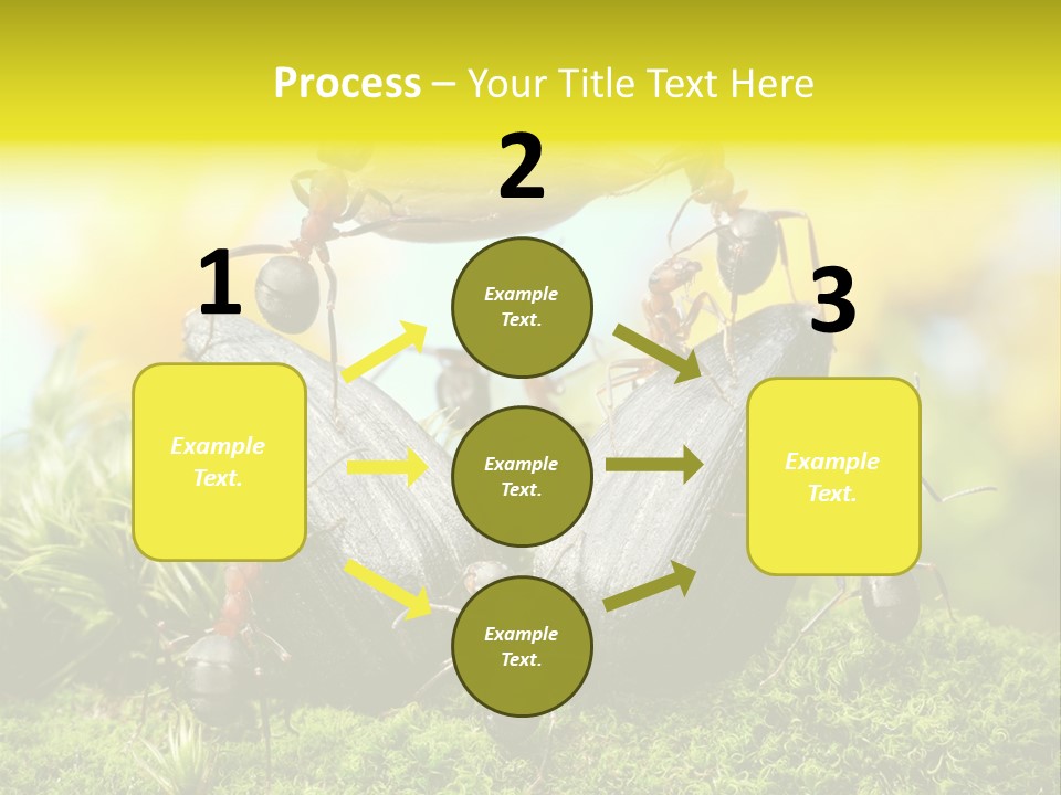 Crop Meadow Insects PowerPoint Template