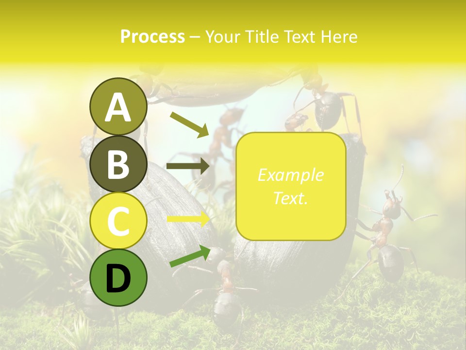 Crop Meadow Insects PowerPoint Template