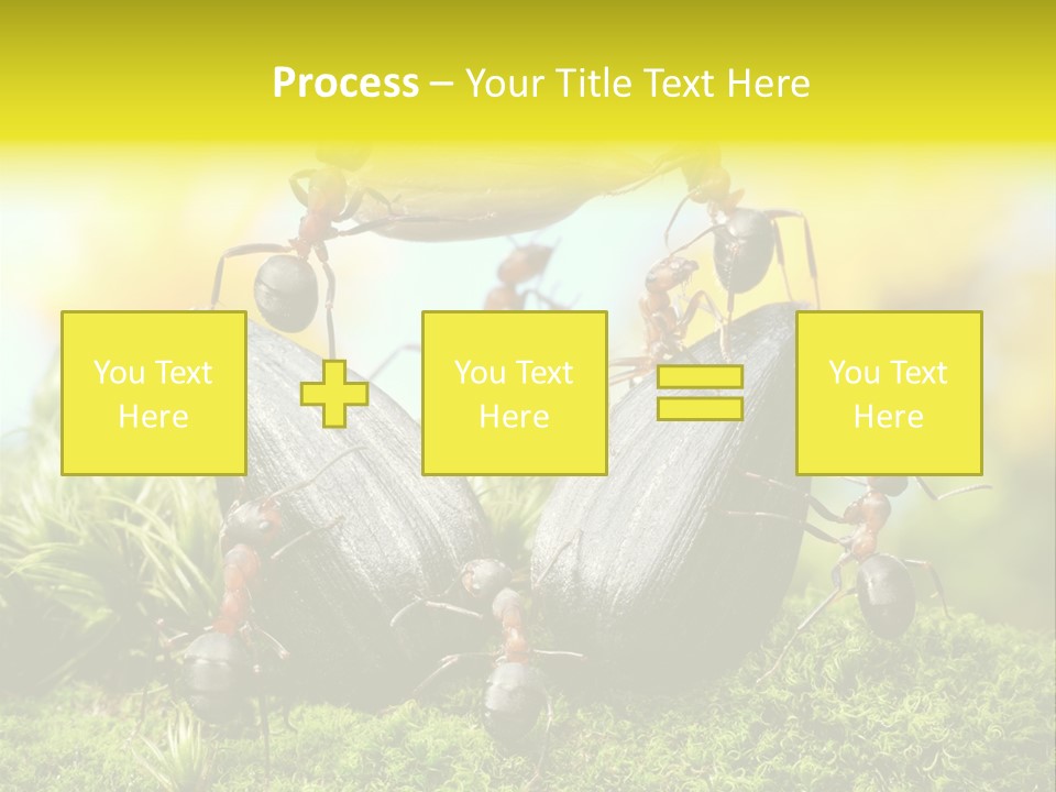 Crop Meadow Insects PowerPoint Template