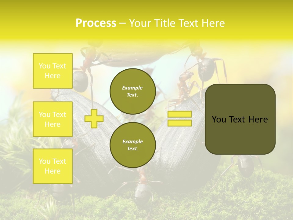 Crop Meadow Insects PowerPoint Template