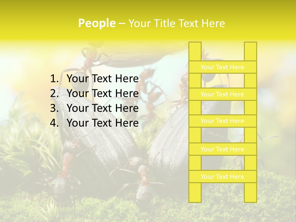 Crop Meadow Insects PowerPoint Template