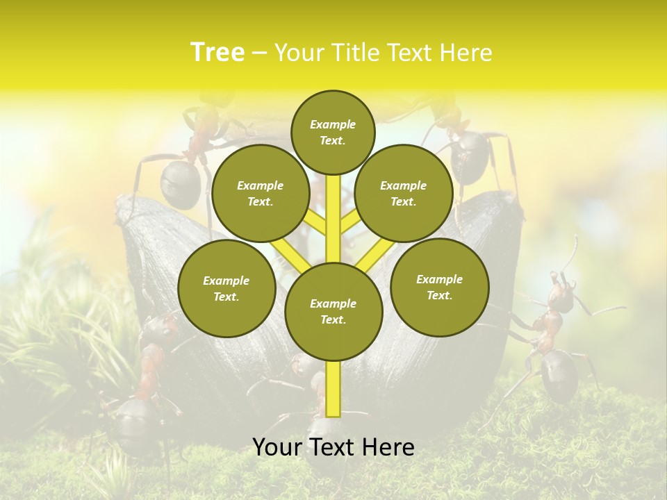 Crop Meadow Insects PowerPoint Template