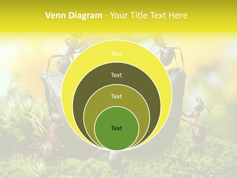 Crop Meadow Insects PowerPoint Template