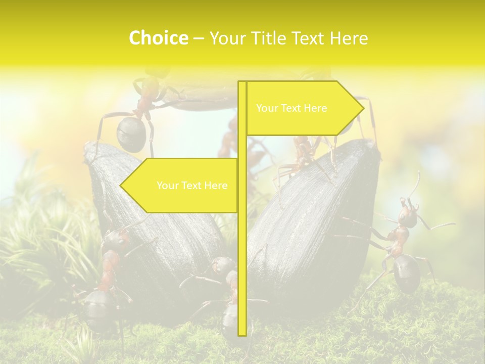 Crop Meadow Insects PowerPoint Template