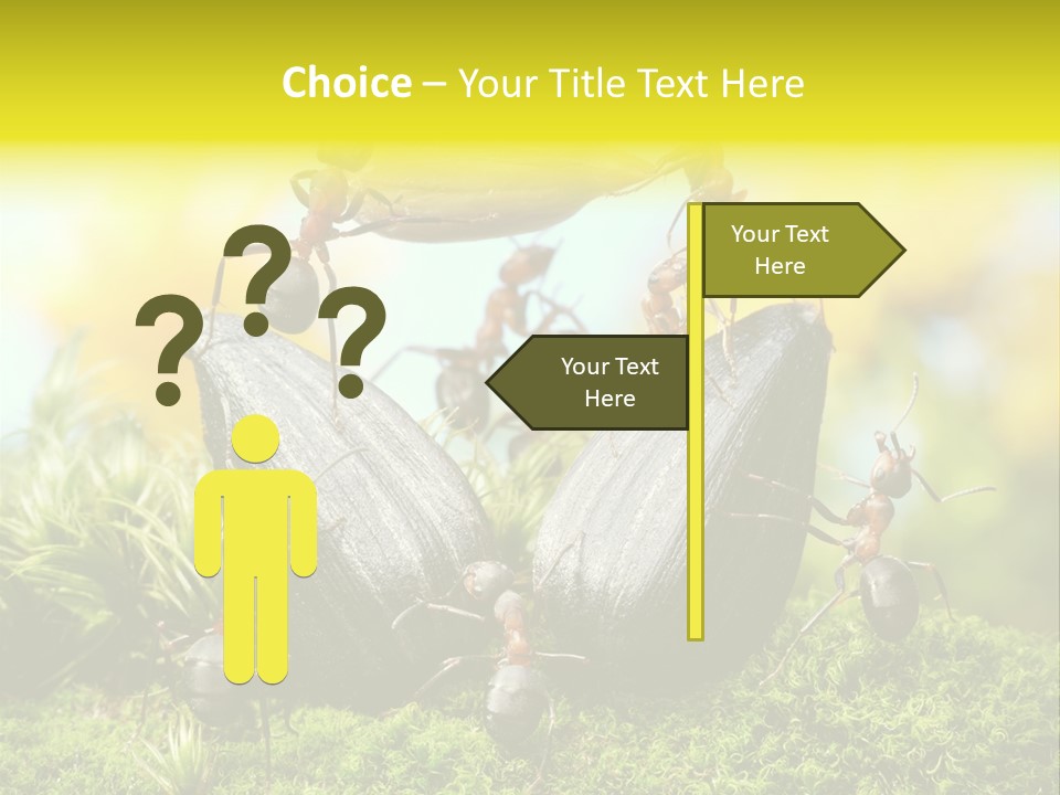 Crop Meadow Insects PowerPoint Template