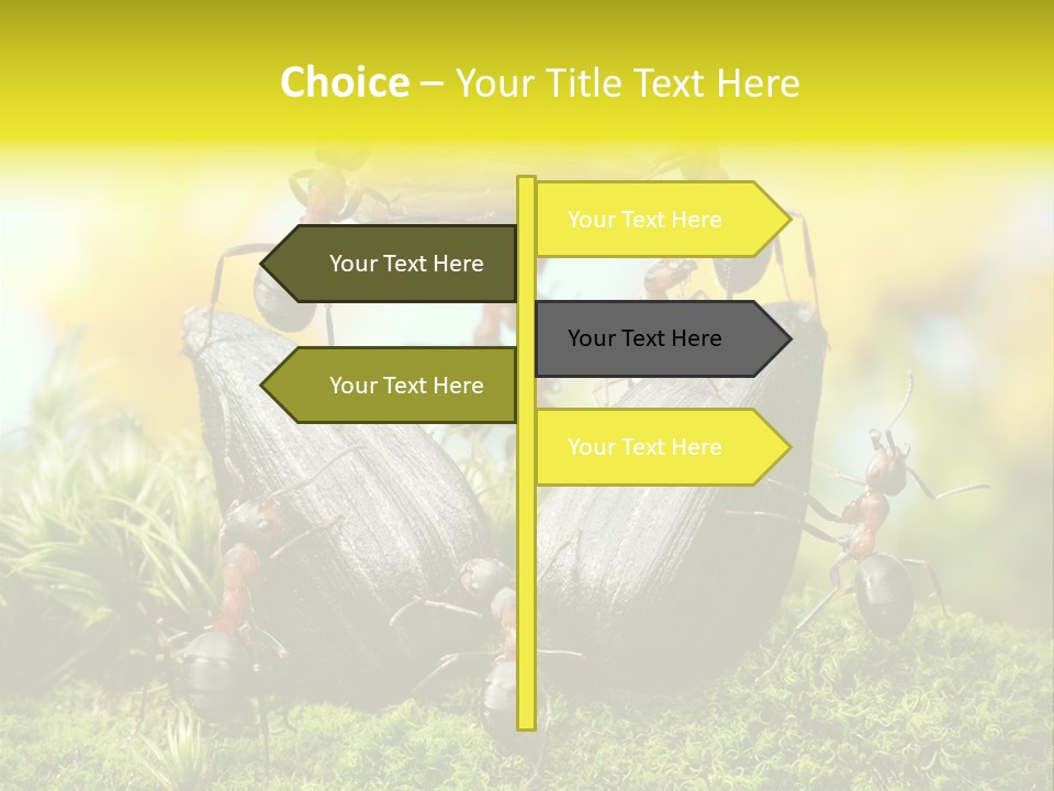 Crop Meadow Insects PowerPoint Template
