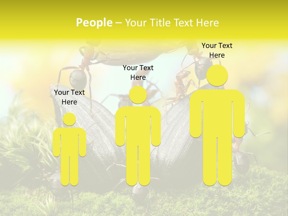 Crop Meadow Insects PowerPoint Template