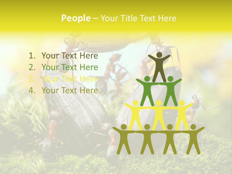 Crop Meadow Insects PowerPoint Template