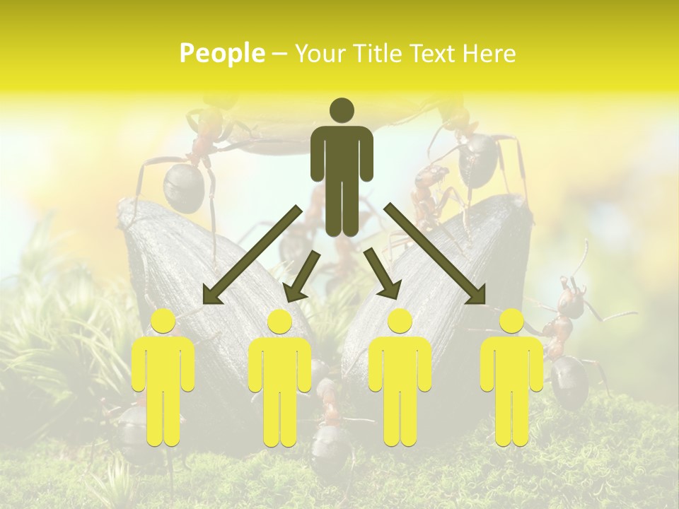 Crop Meadow Insects PowerPoint Template