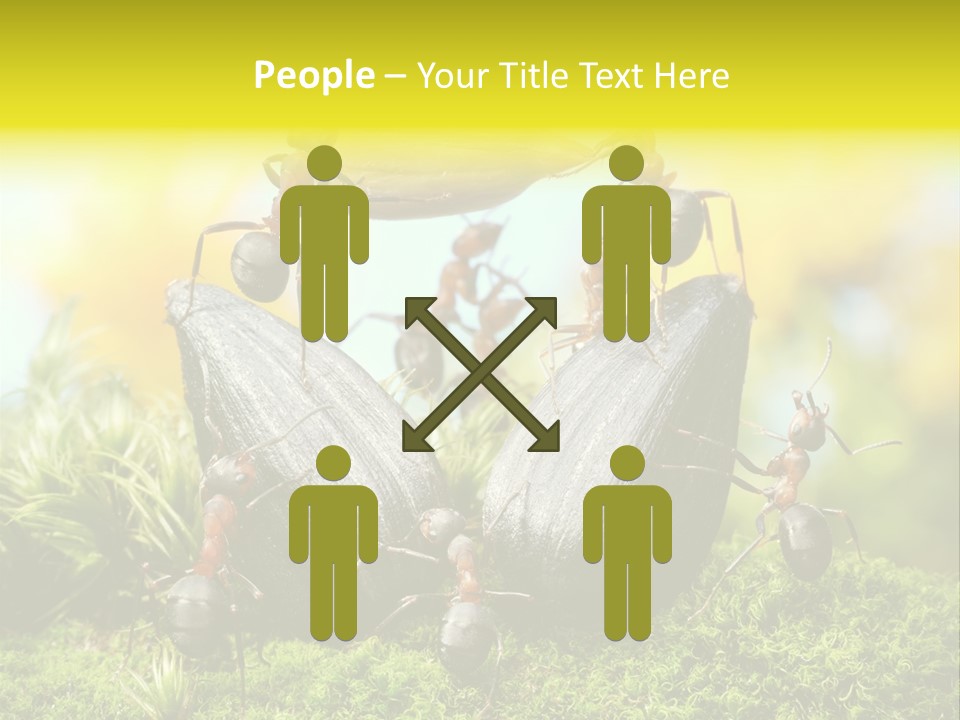 Crop Meadow Insects PowerPoint Template