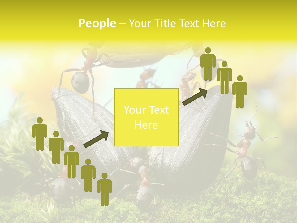 Crop Meadow Insects PowerPoint Template