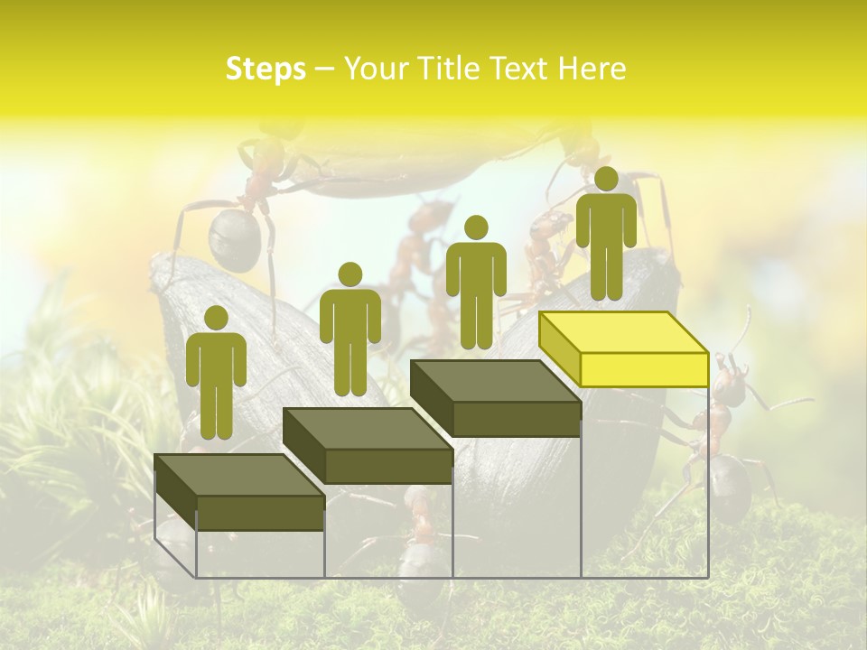 Crop Meadow Insects PowerPoint Template