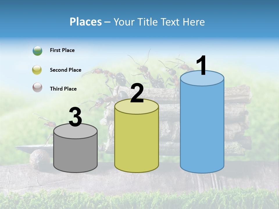 Firewood Delivery Highway PowerPoint Template