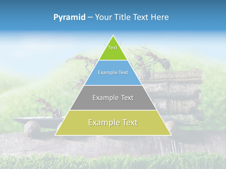 Firewood Delivery Highway PowerPoint Template