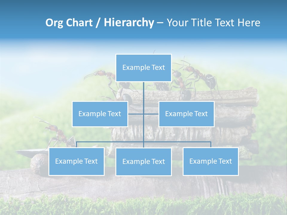 Firewood Delivery Highway PowerPoint Template