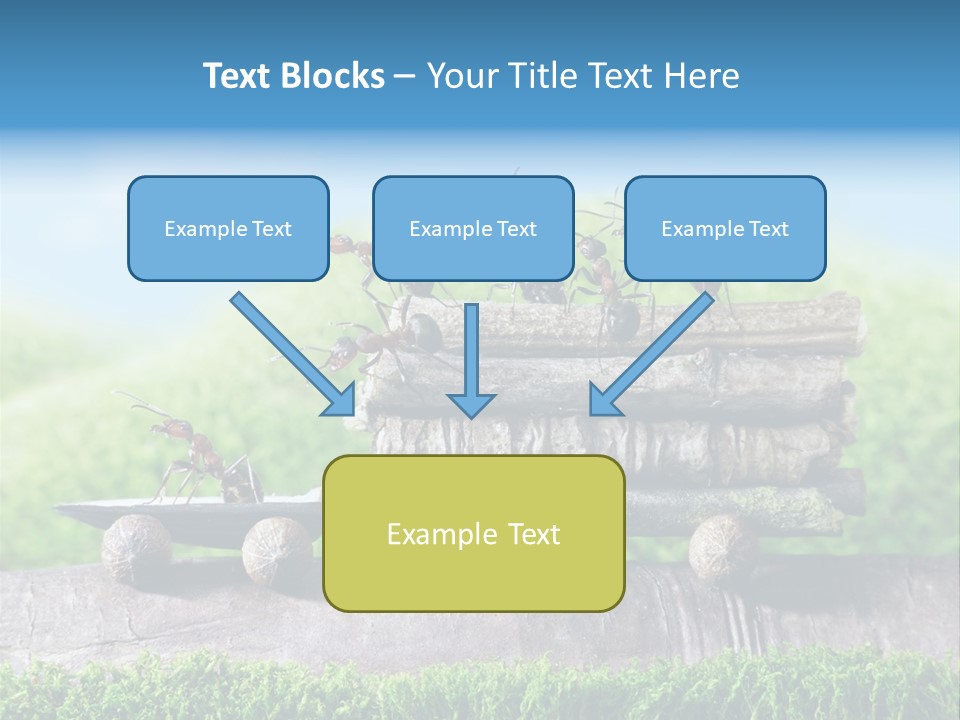 Firewood Delivery Highway PowerPoint Template