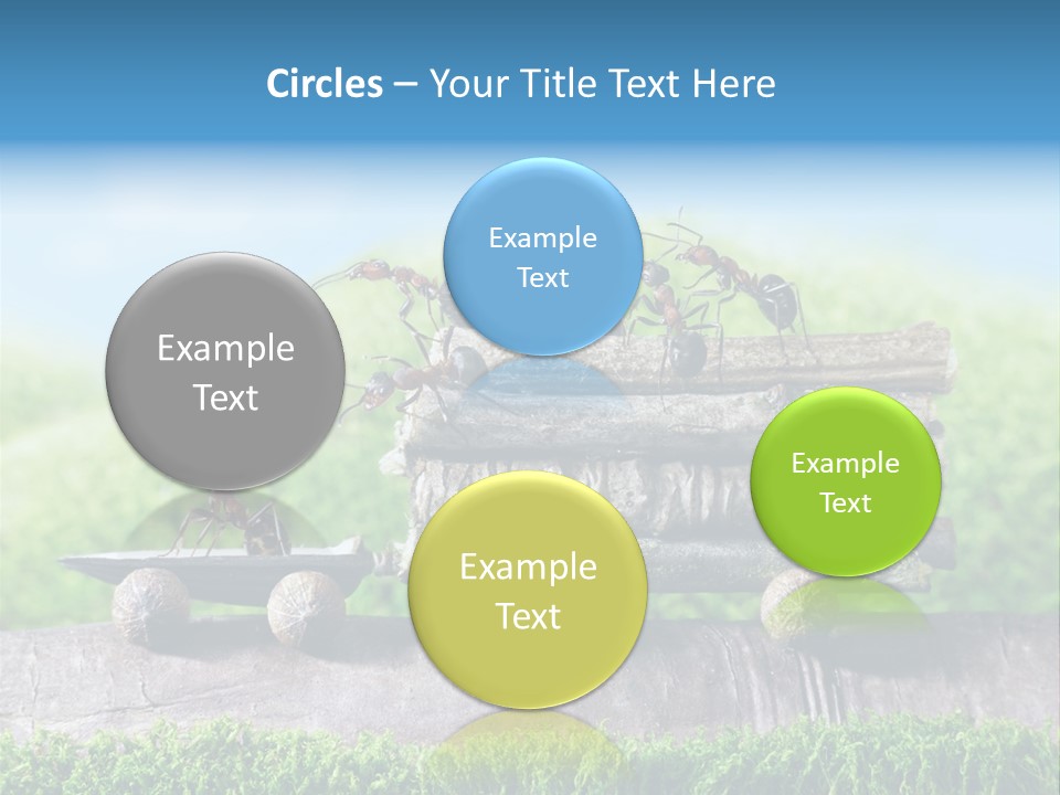 Firewood Delivery Highway PowerPoint Template