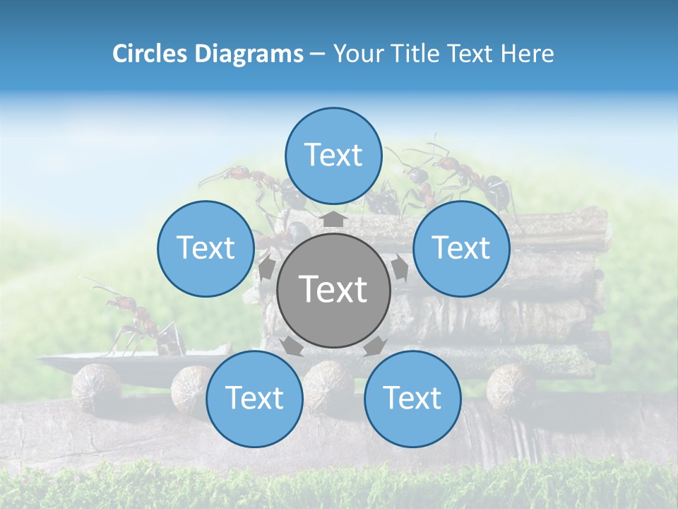 Firewood Delivery Highway PowerPoint Template