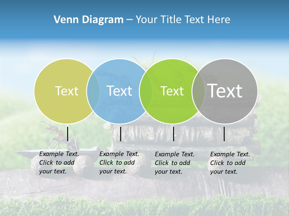 Firewood Delivery Highway PowerPoint Template
