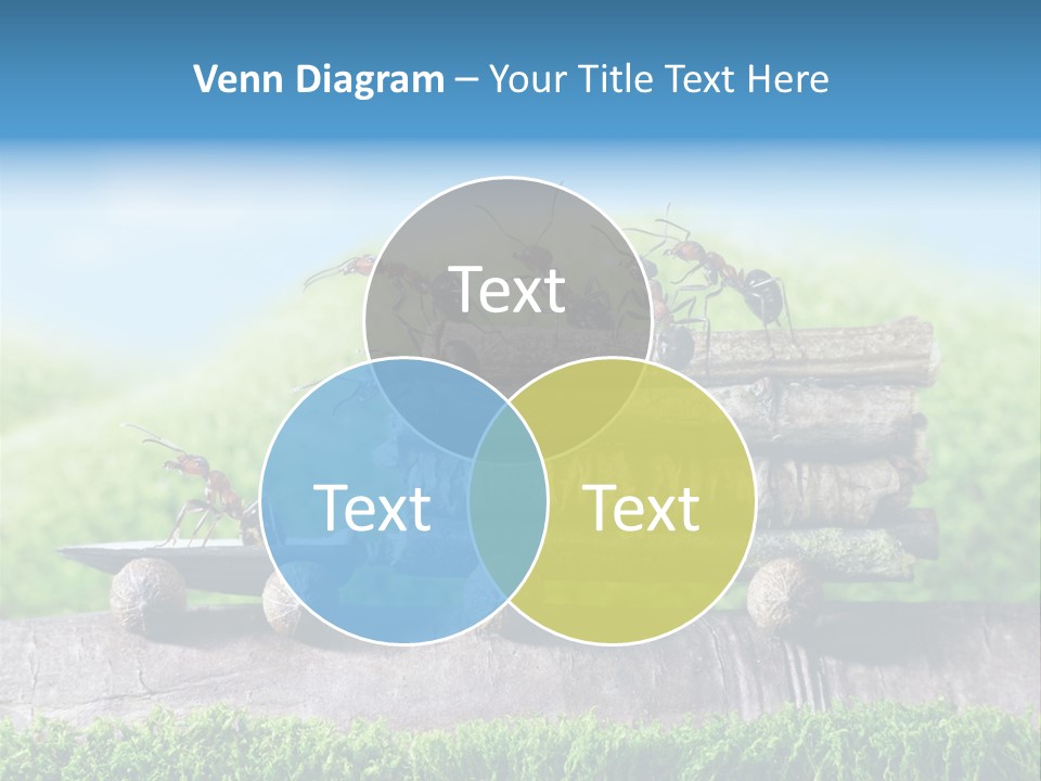 Firewood Delivery Highway PowerPoint Template