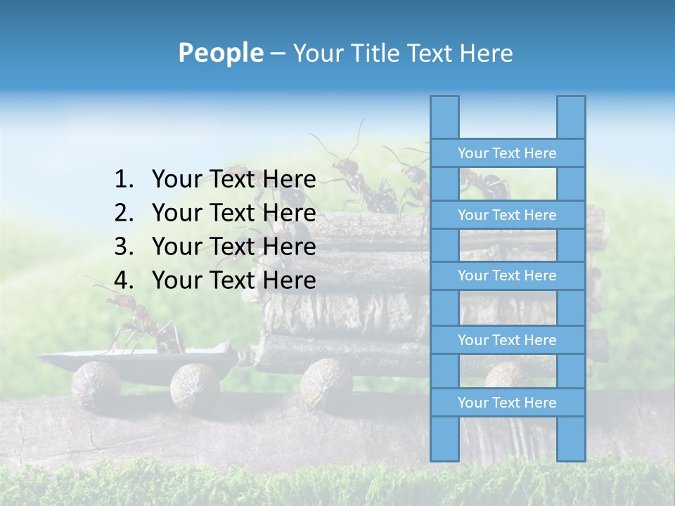 Firewood Delivery Highway PowerPoint Template