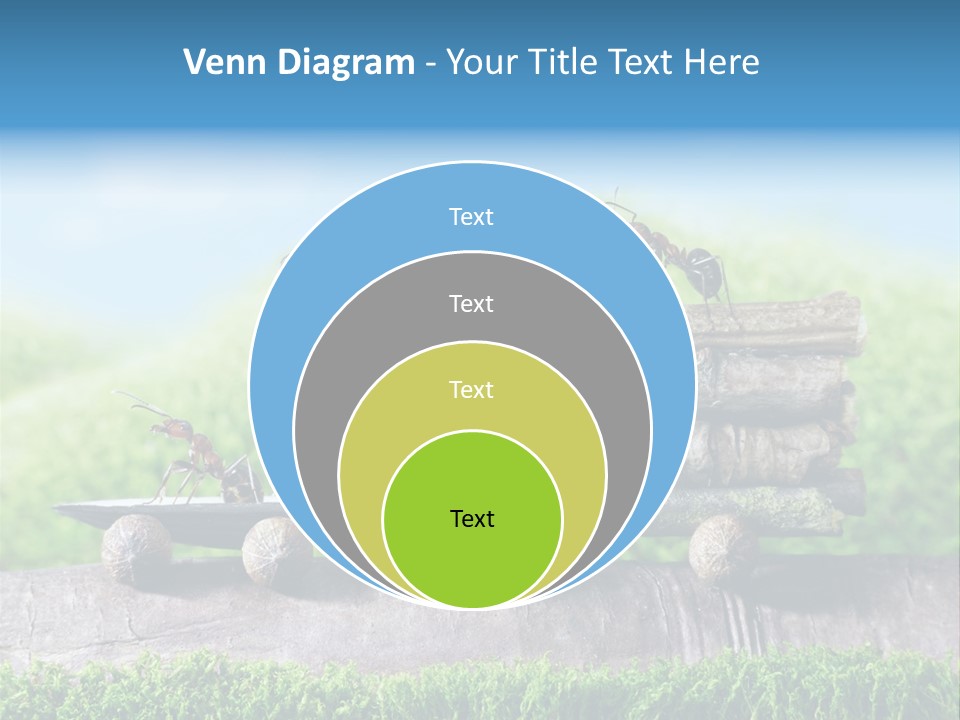 Firewood Delivery Highway PowerPoint Template