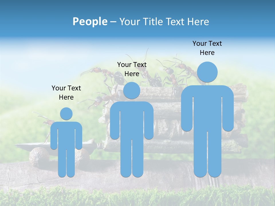 Firewood Delivery Highway PowerPoint Template