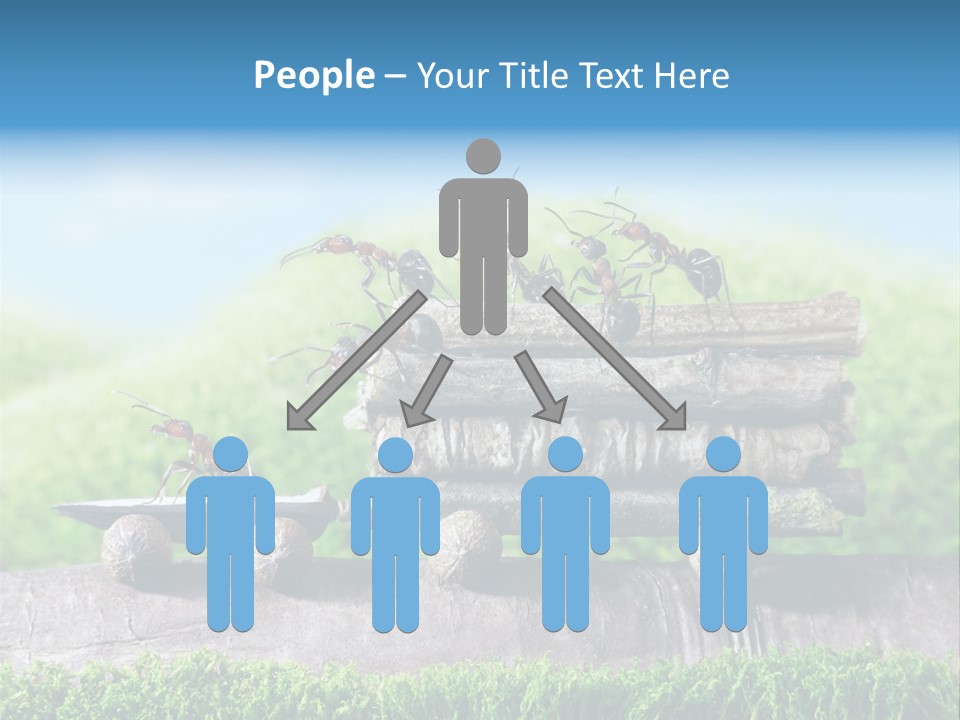 Firewood Delivery Highway PowerPoint Template