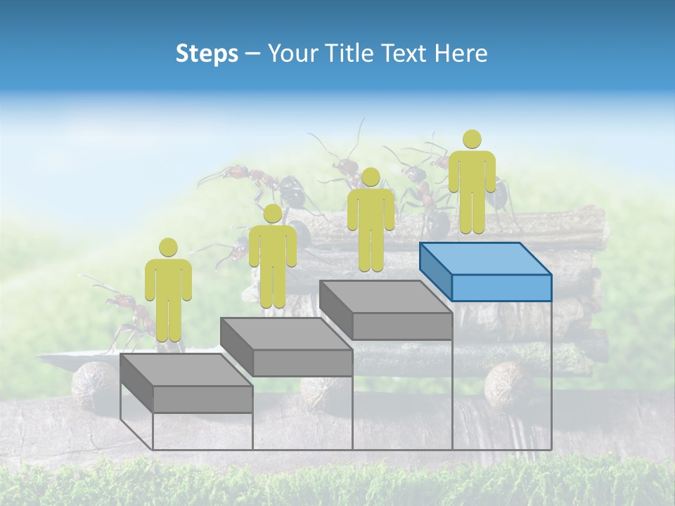 Firewood Delivery Highway PowerPoint Template
