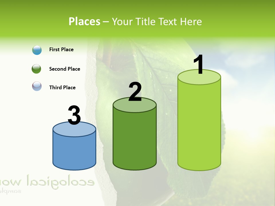 Li Ten Figure Corporation PowerPoint Template