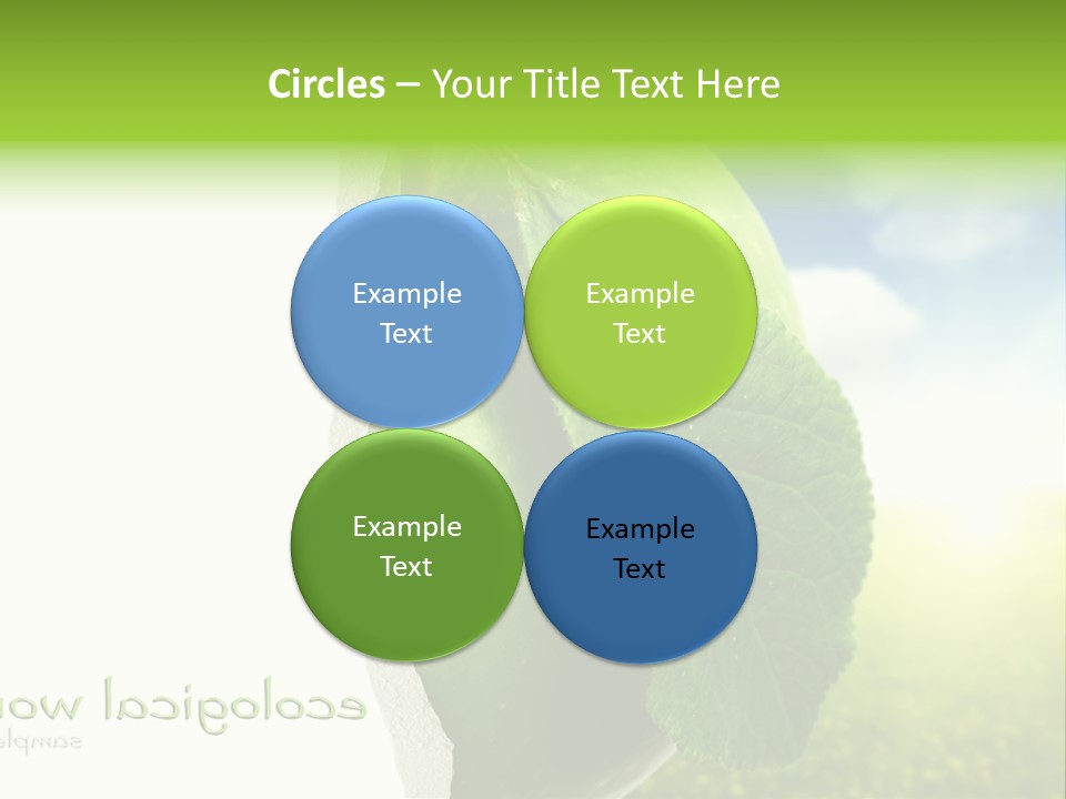 Li Ten Figure Corporation PowerPoint Template